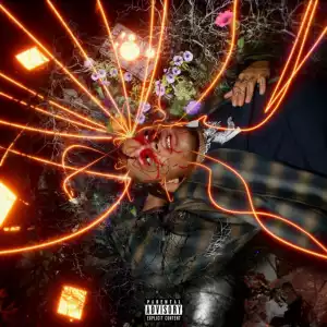 A Love Letter to You 4 BY Trippie Redd